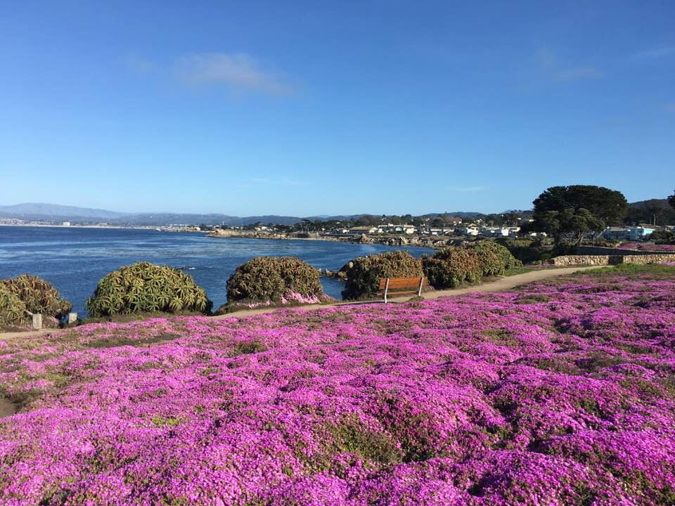 Slide #1 copy copy copy copy copy copy Slide background