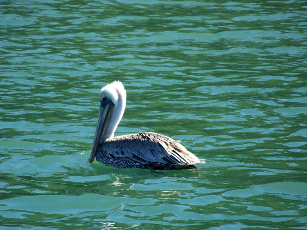 Slide #1 copy copy copy copy copy copy copy copy copy copy Slide background