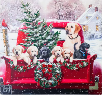 Members Only Holiday Party